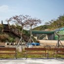 별뜰근린공원 이미지