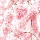 향기헤어 - 정읍시 | 향기헤어