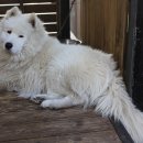 태종대조개구이 이미지