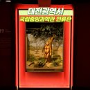 제주 사람발자국과 동물발자국 화석산지 | 대전 여행 코스 국립중앙과학관 인류관 실내 겨울 가볼만한곳 추천