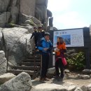 도봉-도봉-서울도봉-2323 이미지