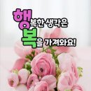 모든날이 행복하기를 네이버블로그