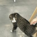 종로-종로-종로-종-261 이미지