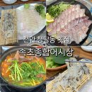 부산공동어시장 조합 | 천안 청당동 횟집 속초종합어시장 존맛 벤자리, 오징어회 후기