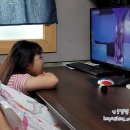 창작 인형극 파란토끼 룰루의 모험 네이버블로그