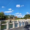 김경일「가을 산」 | 포토덤프 챌린지 6주차 막학기 시험기간 대학생 일상