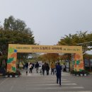 인천 드림파크 야생화단지 국화축제 다녀옴 이미지