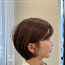 빈센트 헤어 이미지