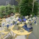 봉곡동153 이미지