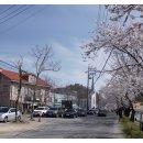 베니샤프커피(본점) 이미지