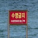 강릉 1박2일 애견동반 여행코스 추천 (1일차)