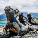 Isla Bartolomé (Bartolomé Island)Galapagos Ecuador 이미지