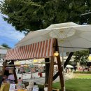 석주세차 이미지