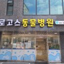 로고스 동물병원 이미지
