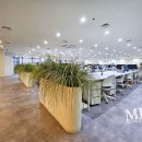 엘앤티렉서스(주) 이미지