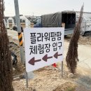 팜팜스토어 | 창원 근교 김해 플라워 팜팜 아이랑 튤립 + 라넌큘러스 수확 체험 이른 봄을 느껴요!