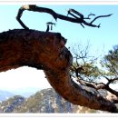 금단경로당 이미지