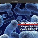 김관호한의원 이미지