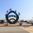 묵호항 자연산 수산물 판매시장 이미지