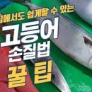 에어프라이어 고등어 굽기 겨울철 냄새 걱정 없이 겉바속촉! 이미지