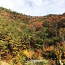 원학동공원 이미지