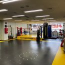 원펀치 복싱클럽 이미지