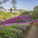 철쭉동산 이미지