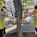 정발산동주민센터 이미지