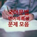 고급문장수업 - (391) 모든 문장의 만병통치약 2 - ④ 문법 탓이 아닐지도 모른다/ 작가 김은경 이미지