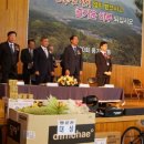 보광중학교 이미지