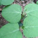 베틀농장 이미지