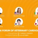 24시 당신의 동물의료센터 이미지