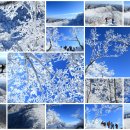 뚜레쥬르 충북단양(4) 이미지