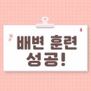 밤이 낮이 된다는 것 | 27개월 배변훈련 성공! 낮·밤 기저귀 완전히 뗀 후기