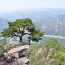 구미상록수관광 Daum카페