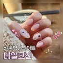 네일코인 | 산본네일 네일코인 이달의아트 저렴하고 이쁜 봄 네일