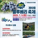 블루베리 이미지