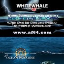 현경상회