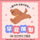 개동유치원 이미지