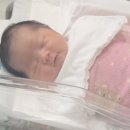 자모의원 이미지