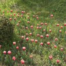 헤이리힐스102 이미지