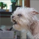 둥이농장 이미지