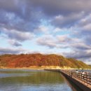 안동호반자연휴양림 이미지