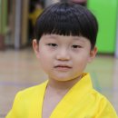 신흥 태권도 이미지