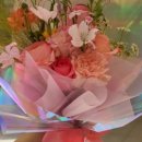 미사위대항의원 이미지