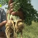 고산슈퍼 이미지