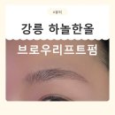 강릉경찰서 | [강원/강릉] 강릉속눈썹펌 하놀한올, 눈썹결이 살아나는 브로우리프트펌 후기