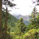 신 황룡 이미지