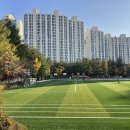 보라초등학교 이미지