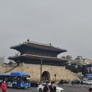 유영난원 | [루주부일상] 종로꽃시장/보석금전수구매후기